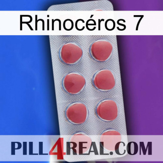 Rhinocéros 7 18